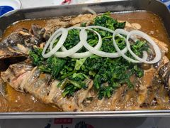 -鱼酷活鱼烤鱼(昆明路店)