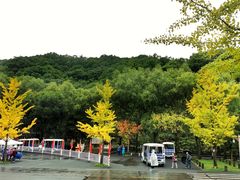 -洛阳白云山景区