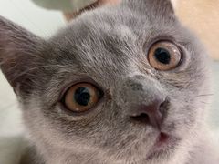 -猫宠乐园·专业洗护