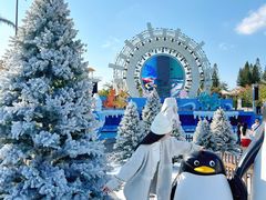 -汕头中海黄金海岸水上乐园