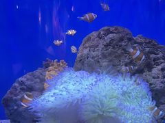 -海合安武汉极地海洋公园
