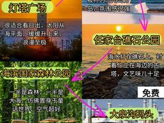 -日照海滨国家森林公园