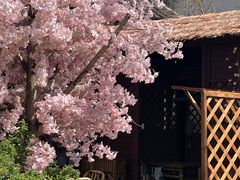 -老山国家森林公园