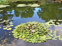 -国家植物园南园