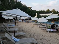 -上海东方佘山翰悦阁酒店·Vie全日制餐厅