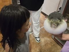 -天正河鲀·河豚亭(大连店)