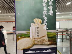 -常熟路(地铁站)