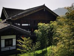 -大唐贡茶院