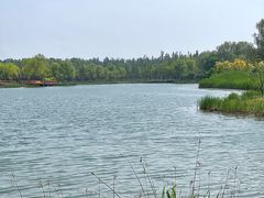 -东郊湿地公园