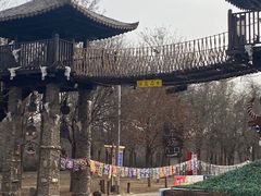 -呀路古热带植物园