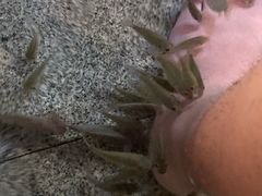 -明谷行馆·温泉