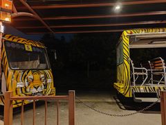 -清迈夜间动物园