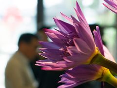 -瓷语堂(上海五维空间创意园店)