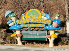 -大连森林动物园