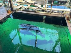 -蓝湾碧波·老字号·疍家非遗海上餐厅