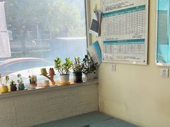 -美联众合动物医院·24h京西诊疗中心