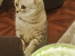 -隅cafe(傅厚岗店)