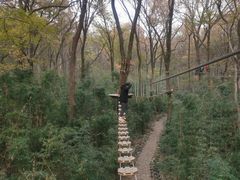 -WeLope紫金山探险公园