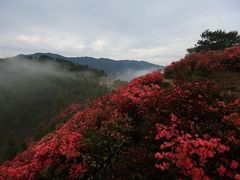 -木兰云雾山