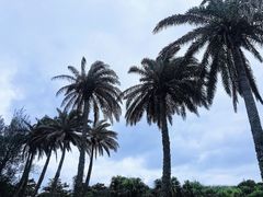 -鹅銮鼻公园