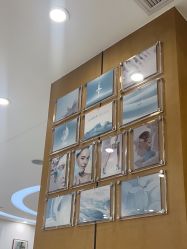 -智美品质医美