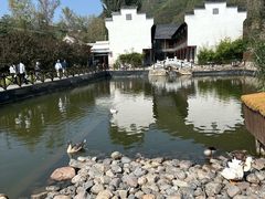 -荷塘味道(水长城店)
