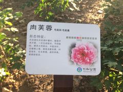 -仁和公园(顺义区)