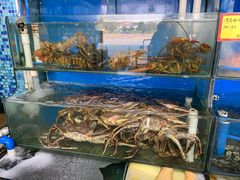 水产区-蚝专家(北滘店)