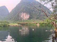 -靖西鹅泉风景区