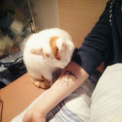 -TATTOO/手工穿孔吧/耳洞/刺青STUDIO