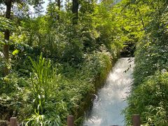 -广州市石门国家森林公园
