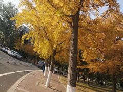 -大连理工大学(凌水校区)