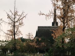 -南湖梦幻岛