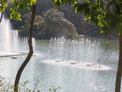 -广州白江湖森林公园