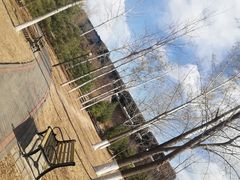 -永定河休闲森林公园