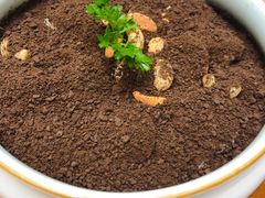 -赵小姐丨新中餐(曲江店)