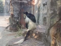 -南昌动物园