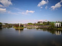 -上海鲜花港