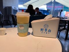 -野萃山·潮汕厚果汁(十亩地店)
