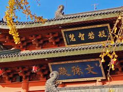 -上海东林寺(金山区)