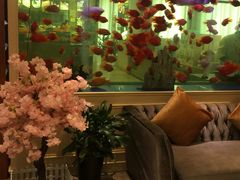 -骏莱海鲜鱼港(五角场店)
