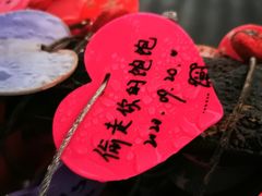 -茶颜悦色(岳麓山顶店)