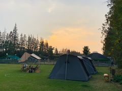 -前小桔亲子创意农场·草莓采摘·露营烧烤