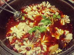 -重庆乌鱼庄·龙滋鲜(青羊大道店)