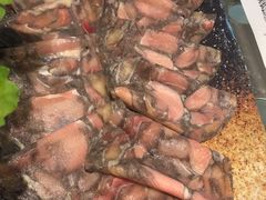 -王家渡火锅店(棕榈泉店)