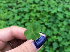 -海口骑楼小吃街