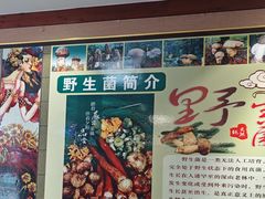-菌之家·专业纯野生菌火锅·特色炒菌