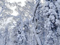 -终南山南五台景区