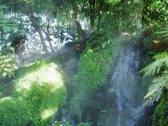 -Chom Cafe and Restaurant