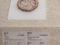 -敦煌市博物馆